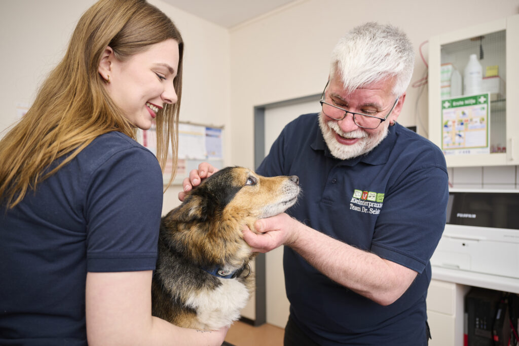 Tierarzt interagiert mit einem Deutschen Schäferhund, während die Besitzerin in der Tierklinik zusieht.