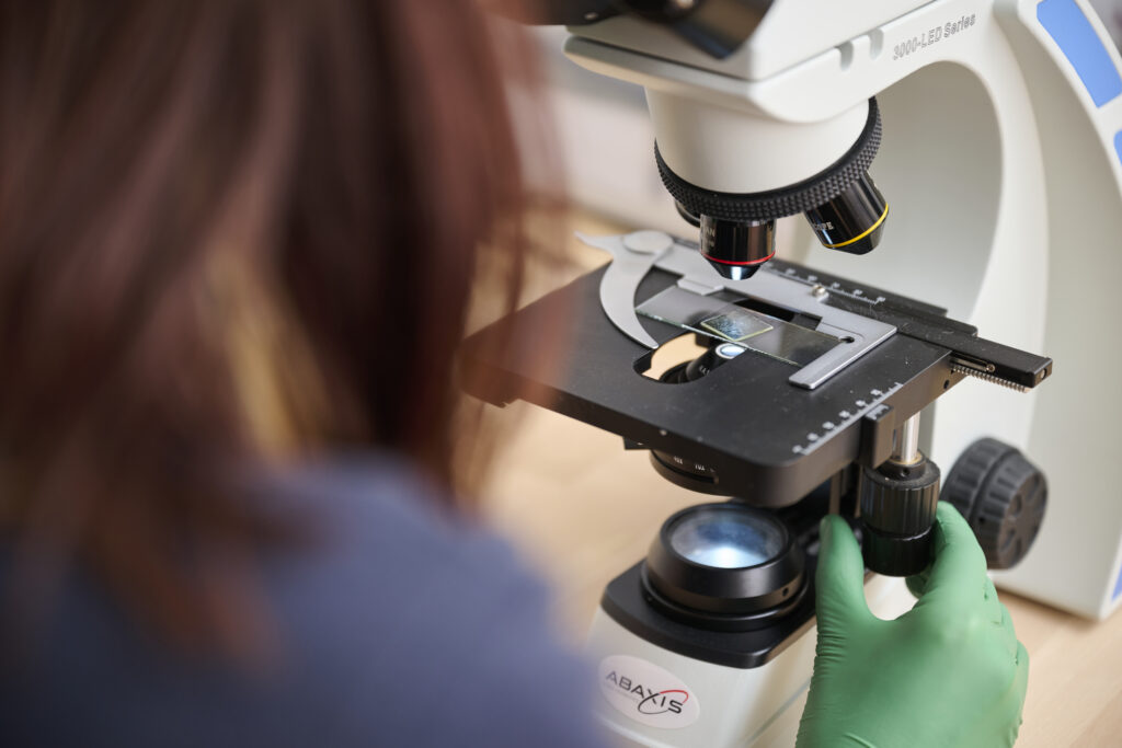 Tierarzt verwendet ein Mikroskop für Laboranalysen in einer Tierklinik.