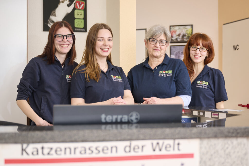 Tierarzt-Teamfoto in einer Tierklinik.