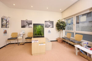 Heller und moderner Wartebereich einer Tierklinik.